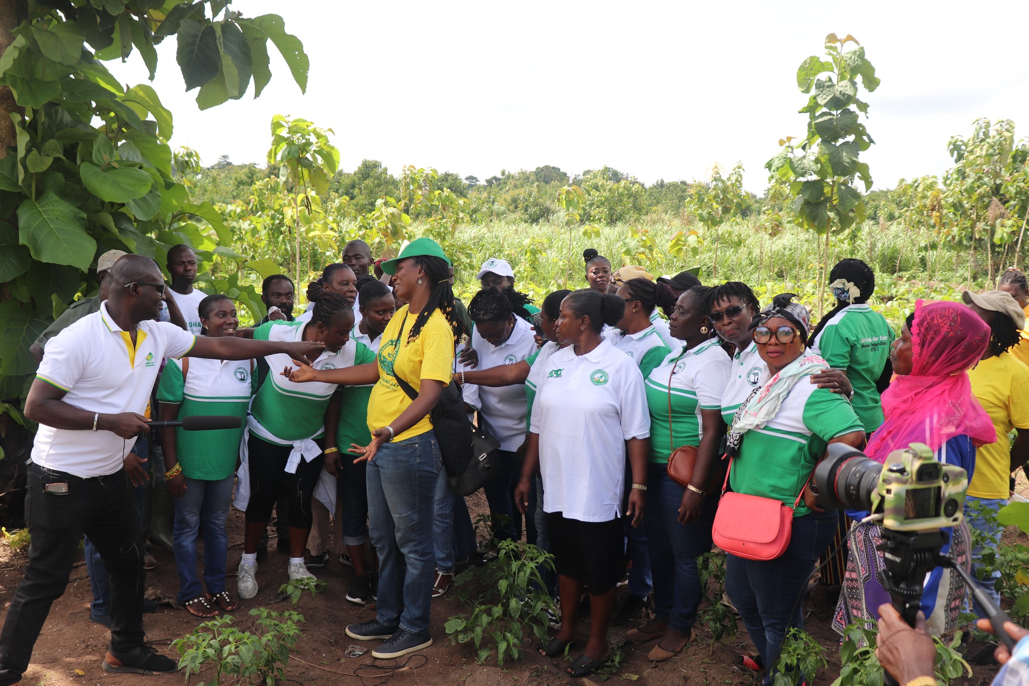 Women in Timber Ghana members and leadership gathering